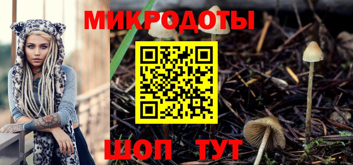 Большой Камень  Псилоцибиновые грибы Magic Shrooms  Вход с VPN  Галлюциногенные грибы Cubensis 