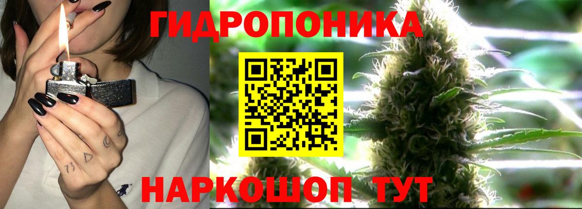 Большой Камень  Каннабис SATIVA & INDICA  Вход с VPN  Шишки марихуана Ganja  Каннабис индика 